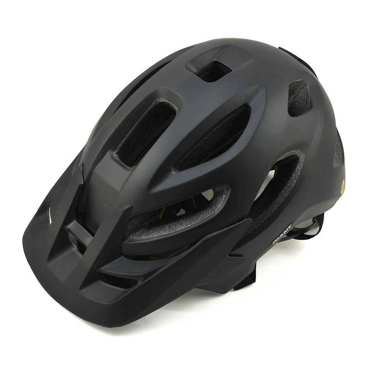 Giant Roost Bikehelm