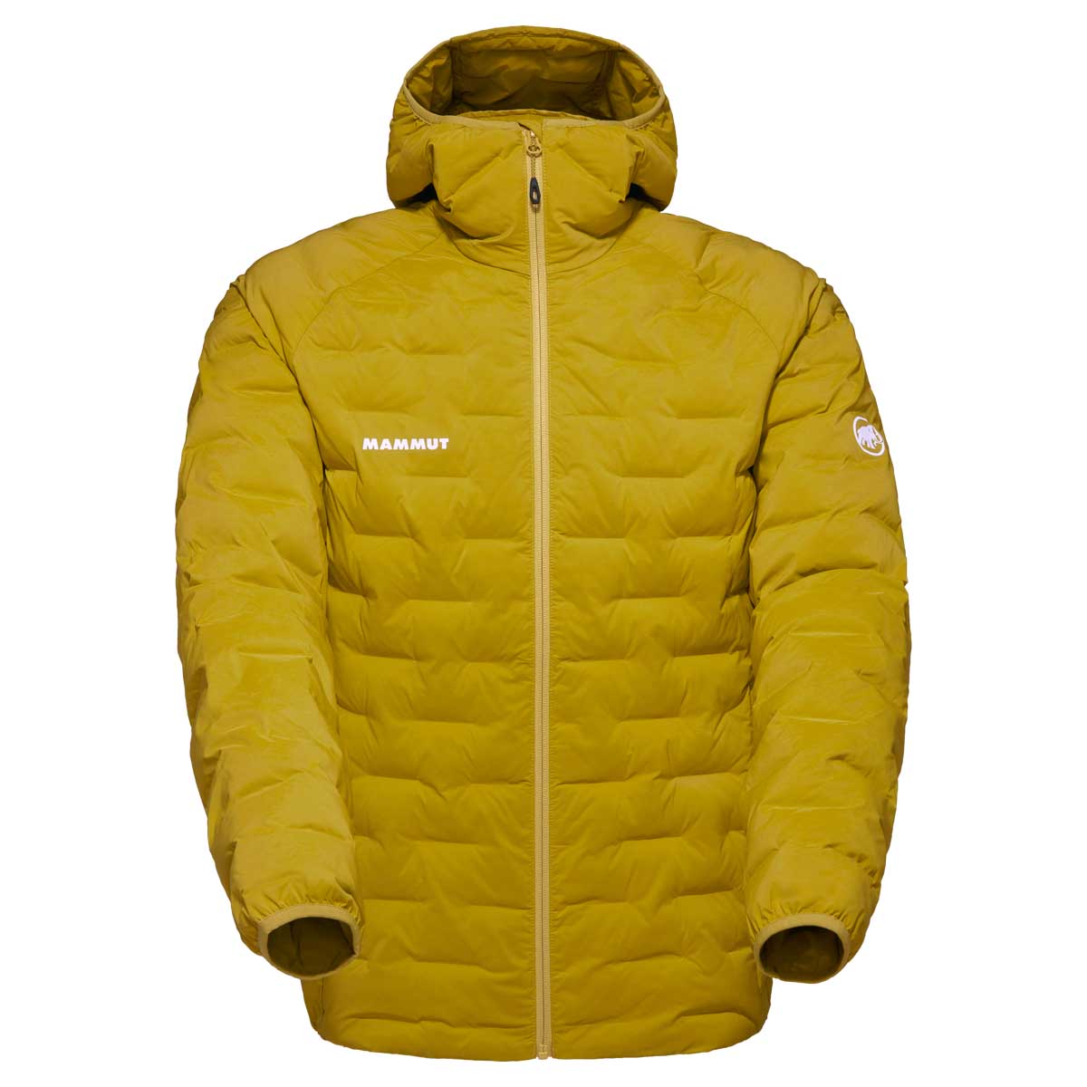 Mammut Sender IN Hooded Jacke Herren